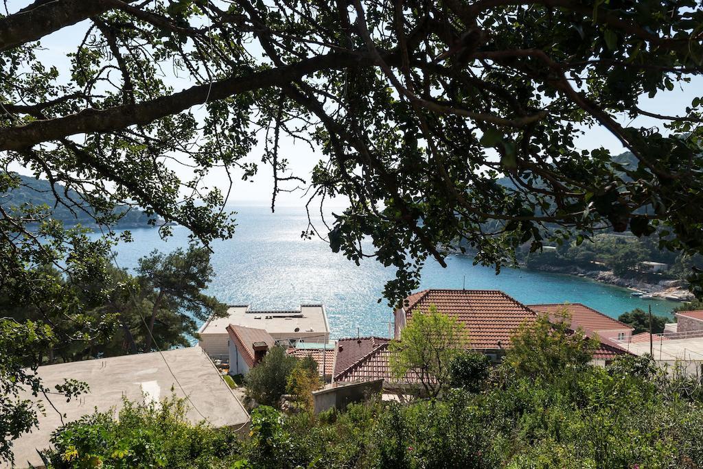 Guest House Kralj Saplunara Exterior photo